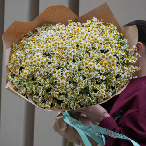 Монобукет из ромашек