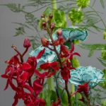 Композиция «Маргарита» — изображение 8
